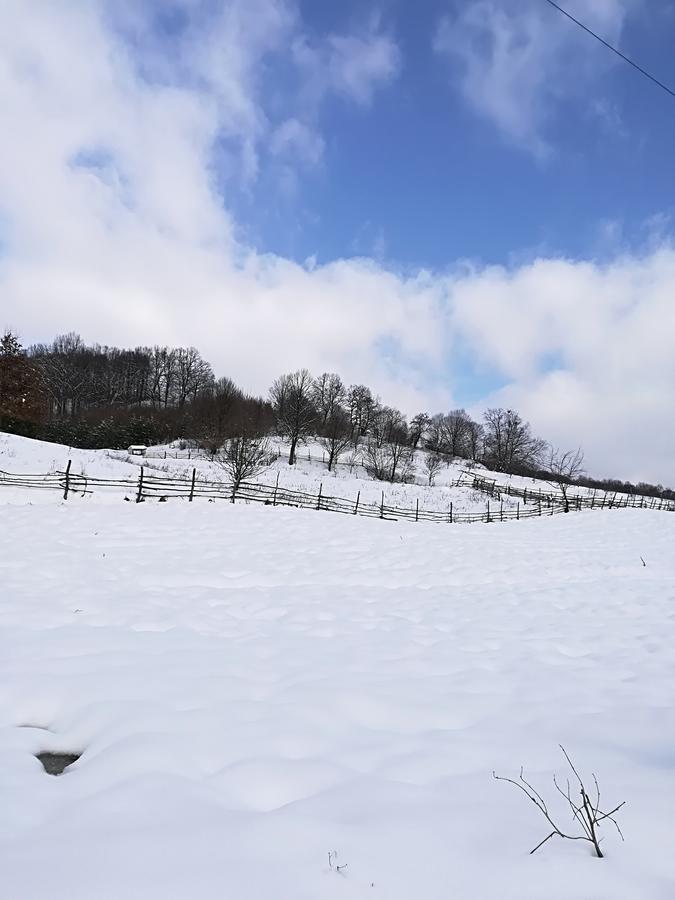 Vila Margareta Curtea de Argeş Esterno foto