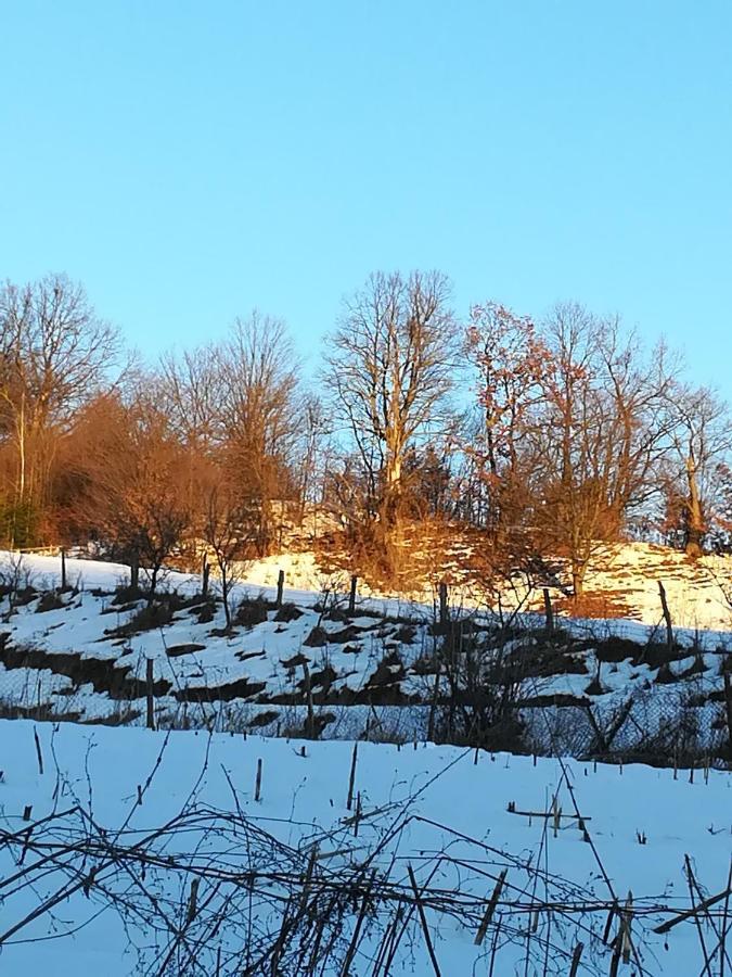 Vila Margareta Curtea de Argeş Esterno foto